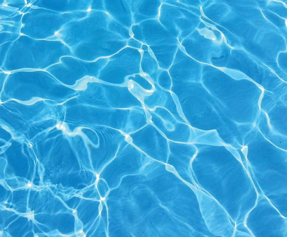 Cover for LOCAL POOL INSPECTIONS GOLD COAST