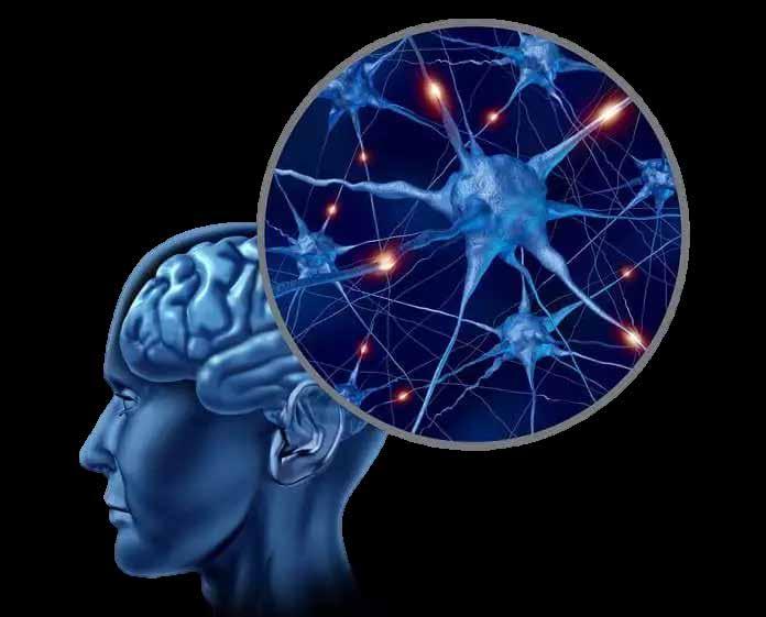 Cover for The Psychology Behind Mental Disorders