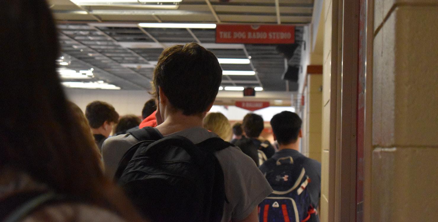 Cover for IN THEIR VIEW