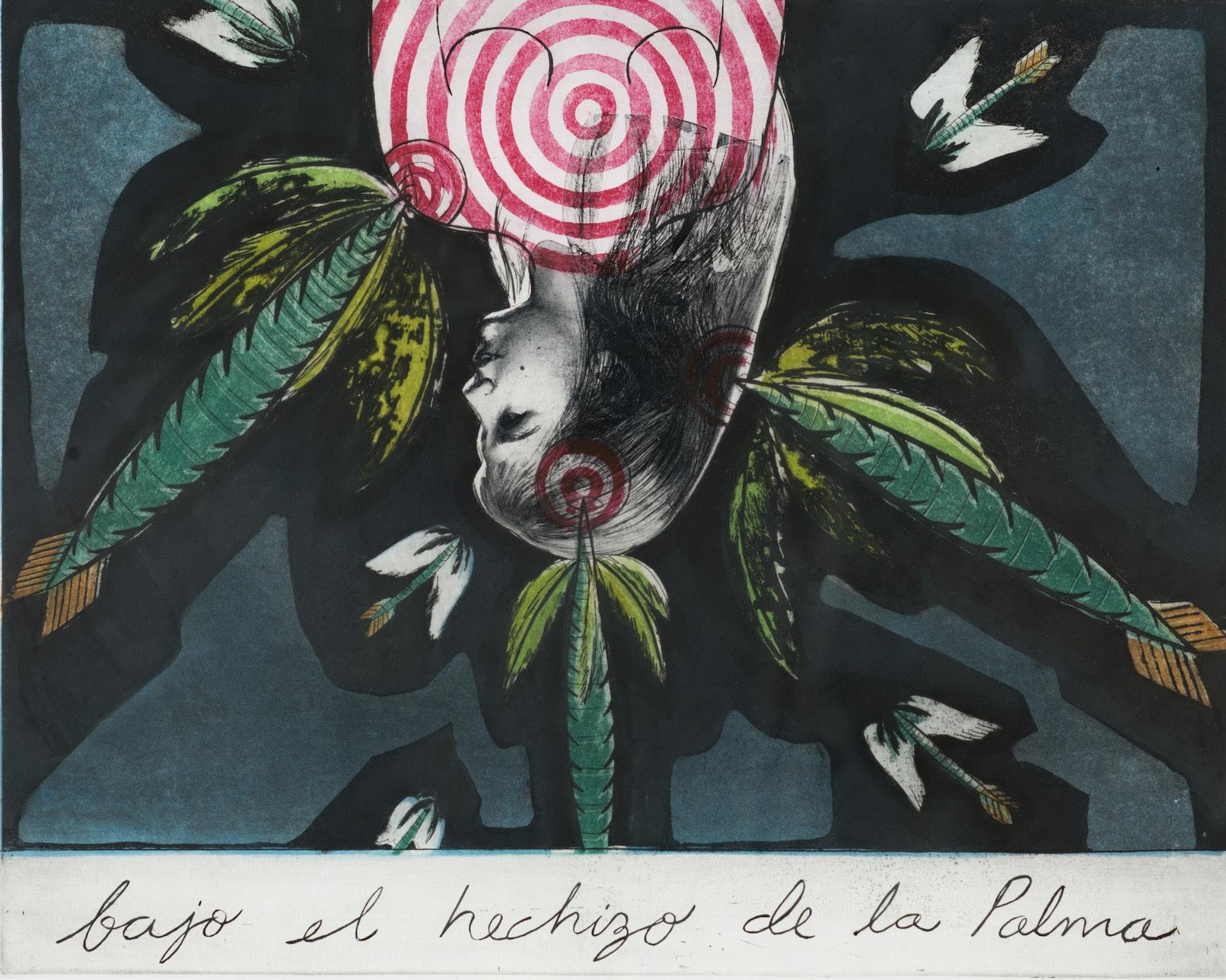 Cover for The Rice Collection of Cuban Art Under the Spell of the Palm Tree: