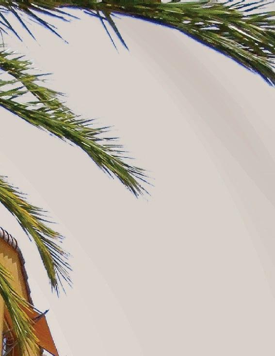 The Blu Summit Real Estate Group Builder Sales and Marketing Services