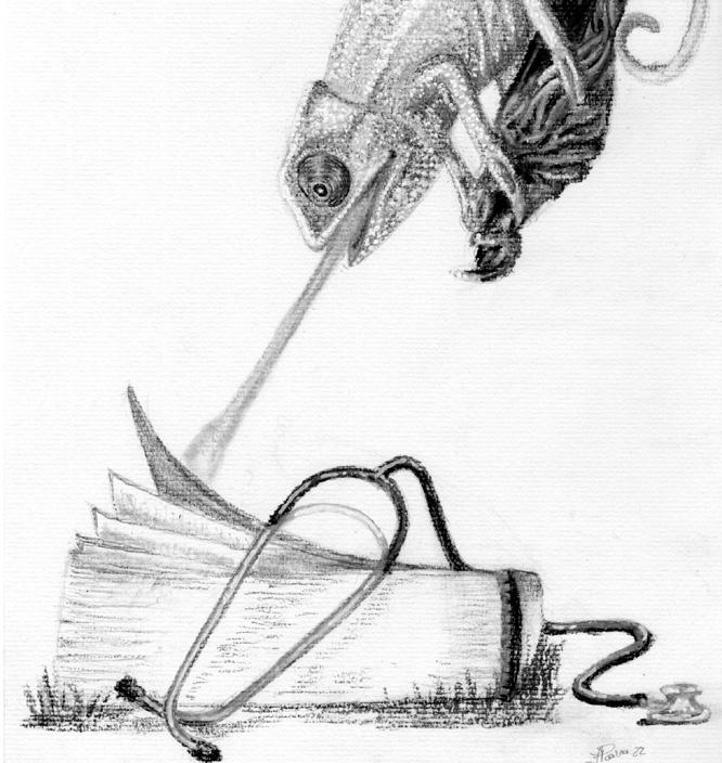 Cover for The European guideline on management of major bleeding and coagulopathy following trauma: sixth Editions