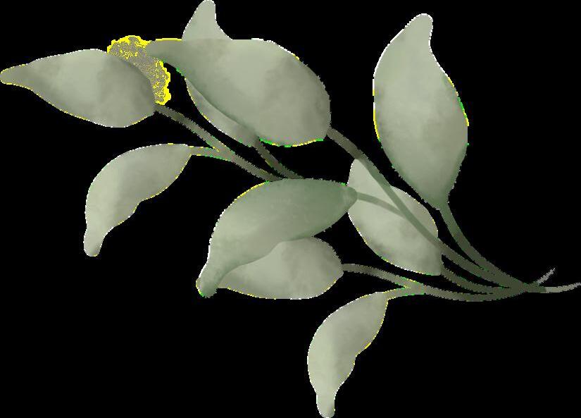 Grupo 1 Conceptualización de Jardín by Johanna Nicole Almonte Cabrera