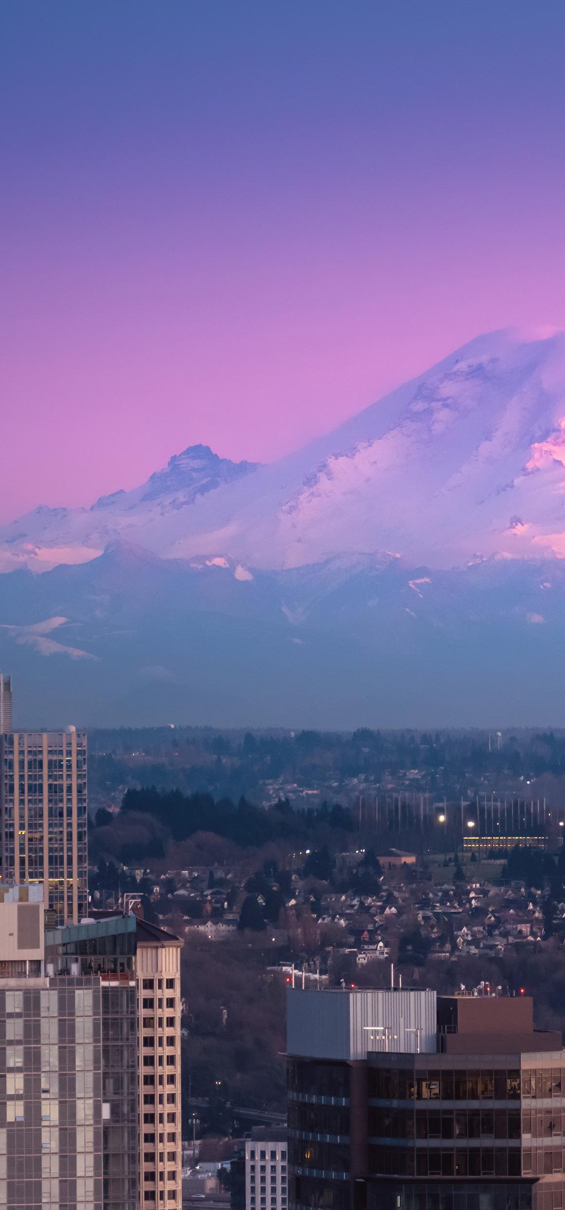 Phil Greely (Real Insights Q12023) by Realogics Sotheby's