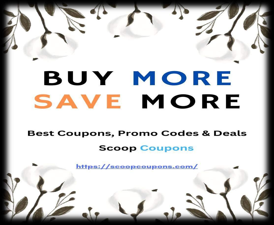 Maximize Your Budget with Promotional Codes by Hip Hook Coupons Code