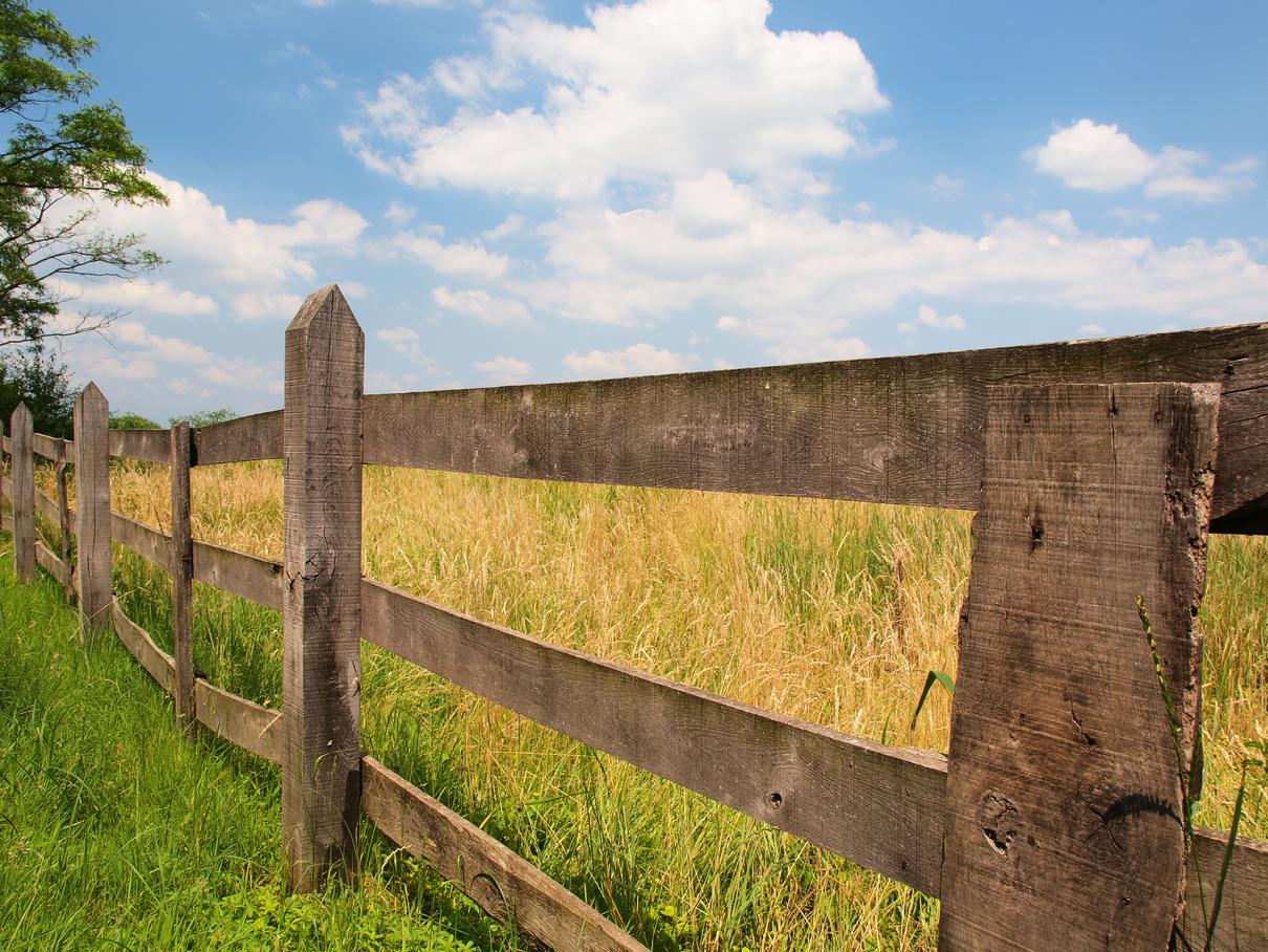 Farm Fence & Agricultural Fencing supplies by Shire Agricultural and