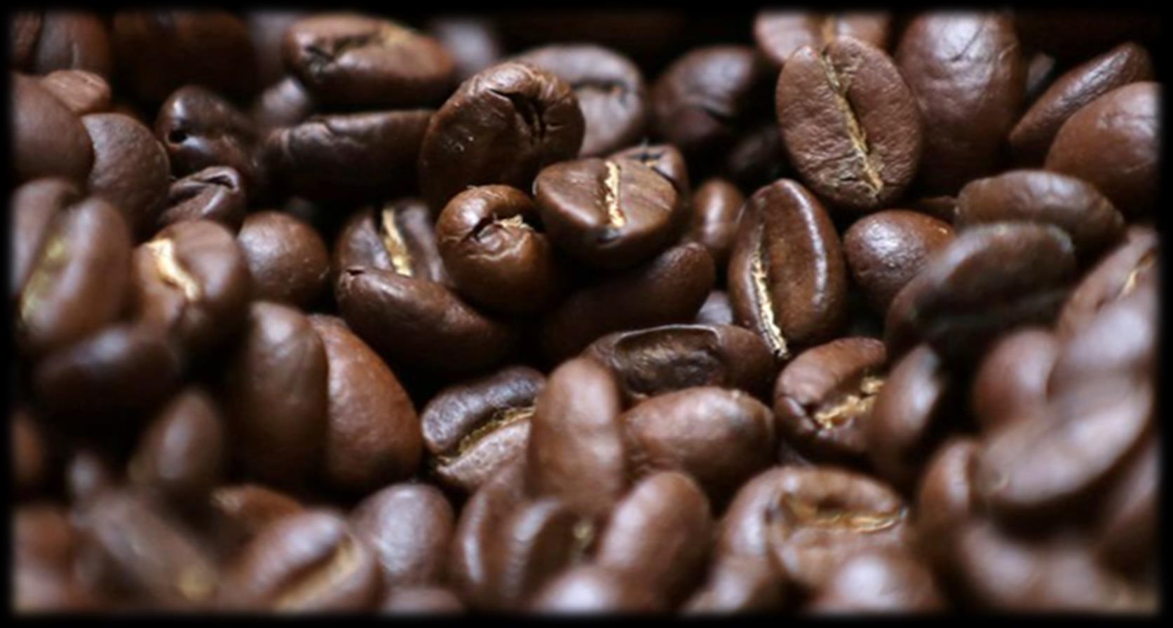 Green Coffee Company by Alex_Valencia Issuu