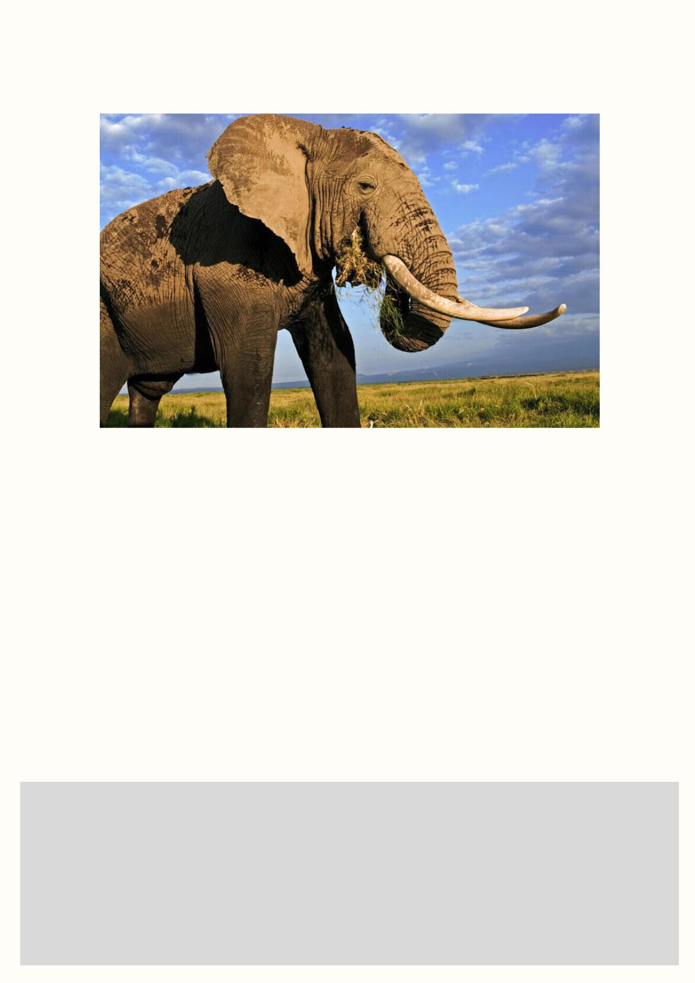 top 5 most dangerous to least dangerous animals ebook by Scarlett MAN