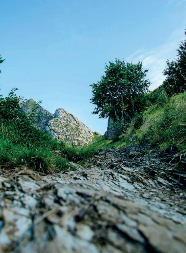 CUSTODI DELLA MONTAGNA Issuu