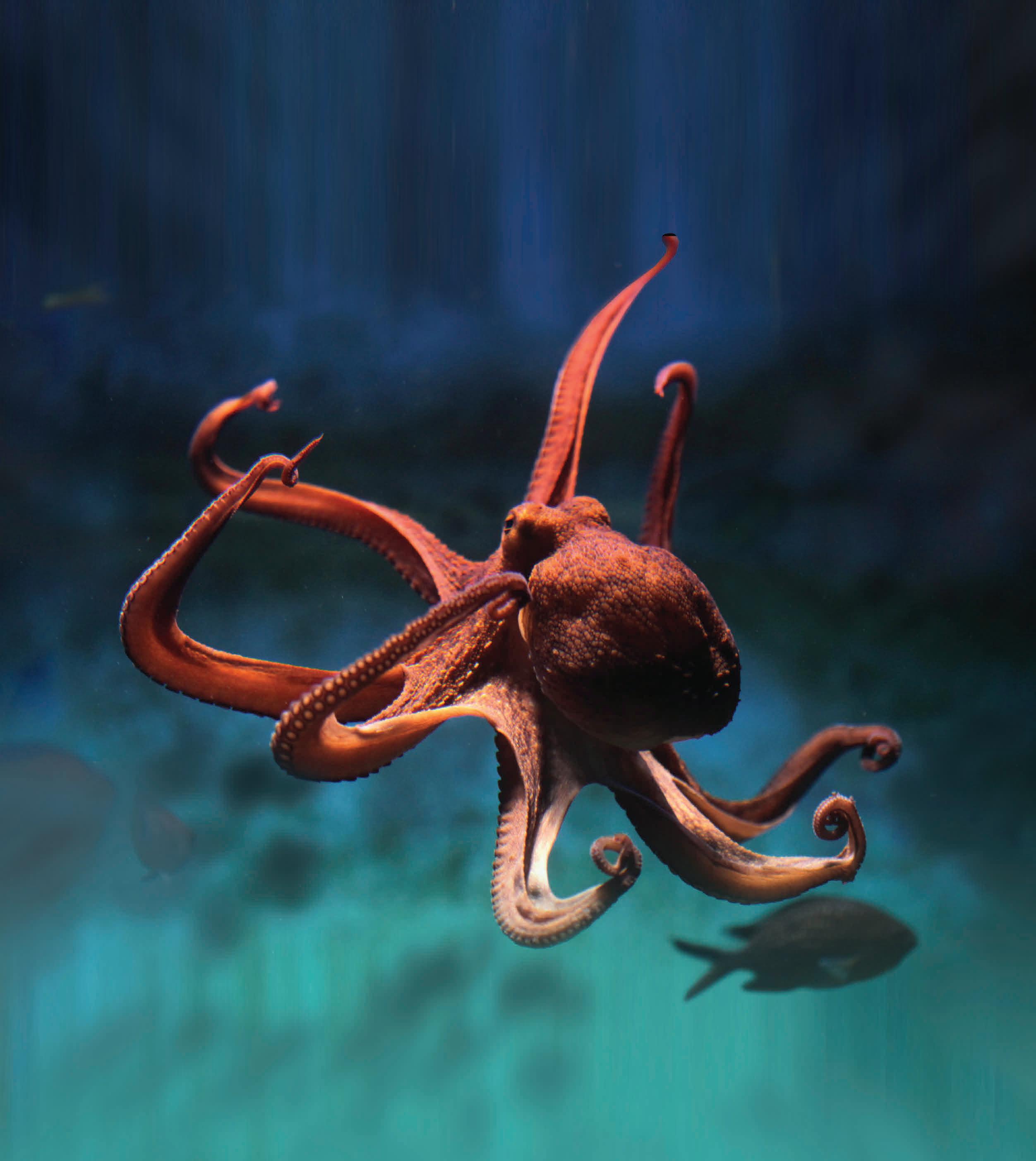 TRABAJO INFORMATICA by Aziul22 Issuu