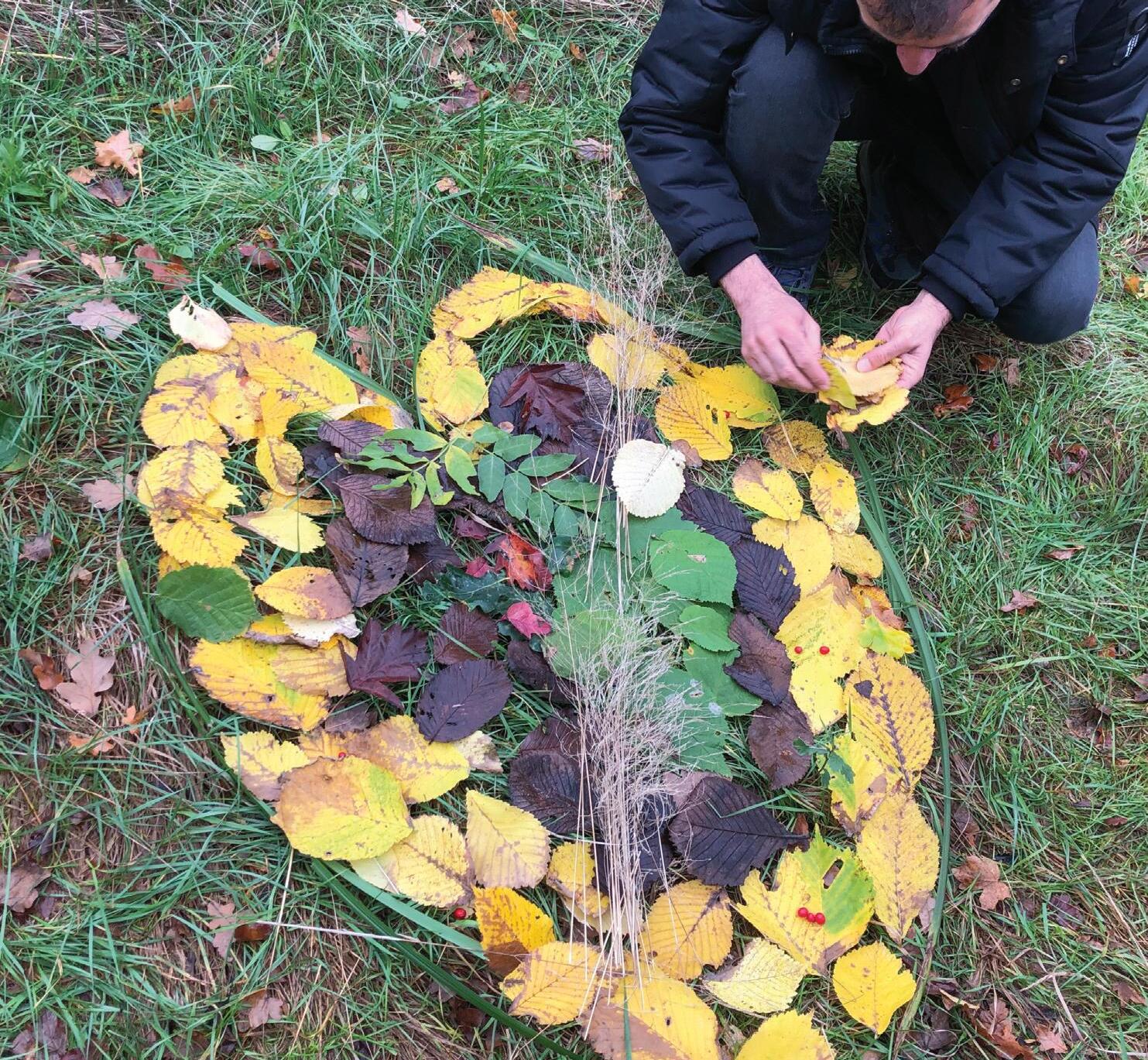 Reconnecting with Nature: The Power of Ecotherapy