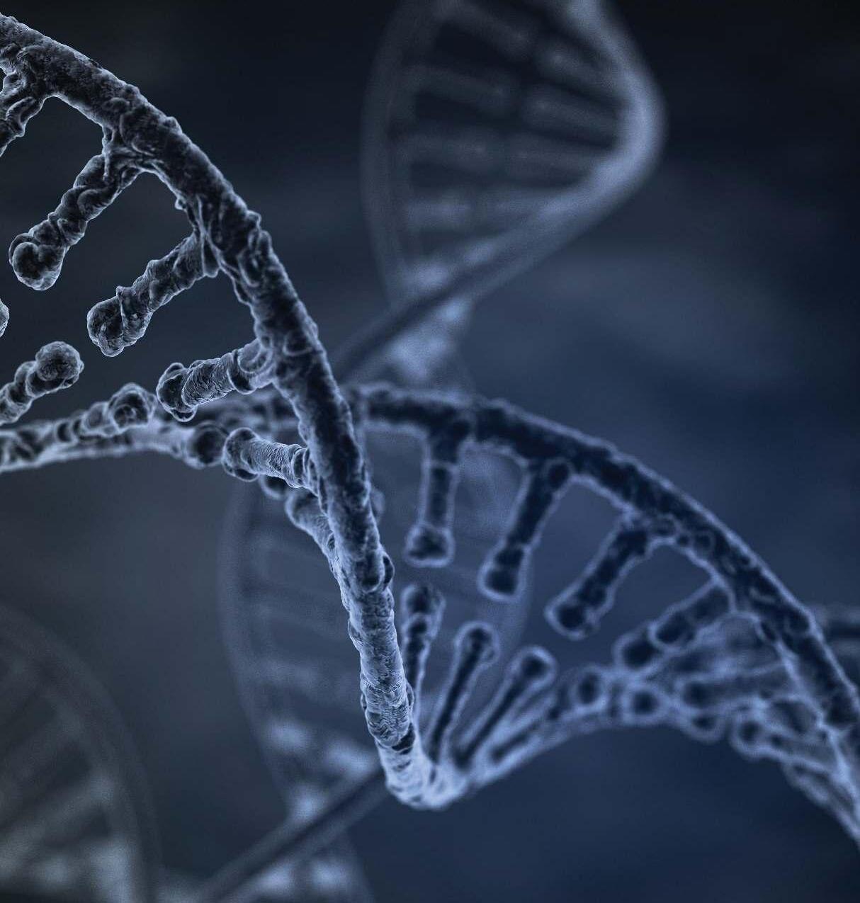 VIASURE® Real Time PCR Detection Kit by kabla.mx Issuu