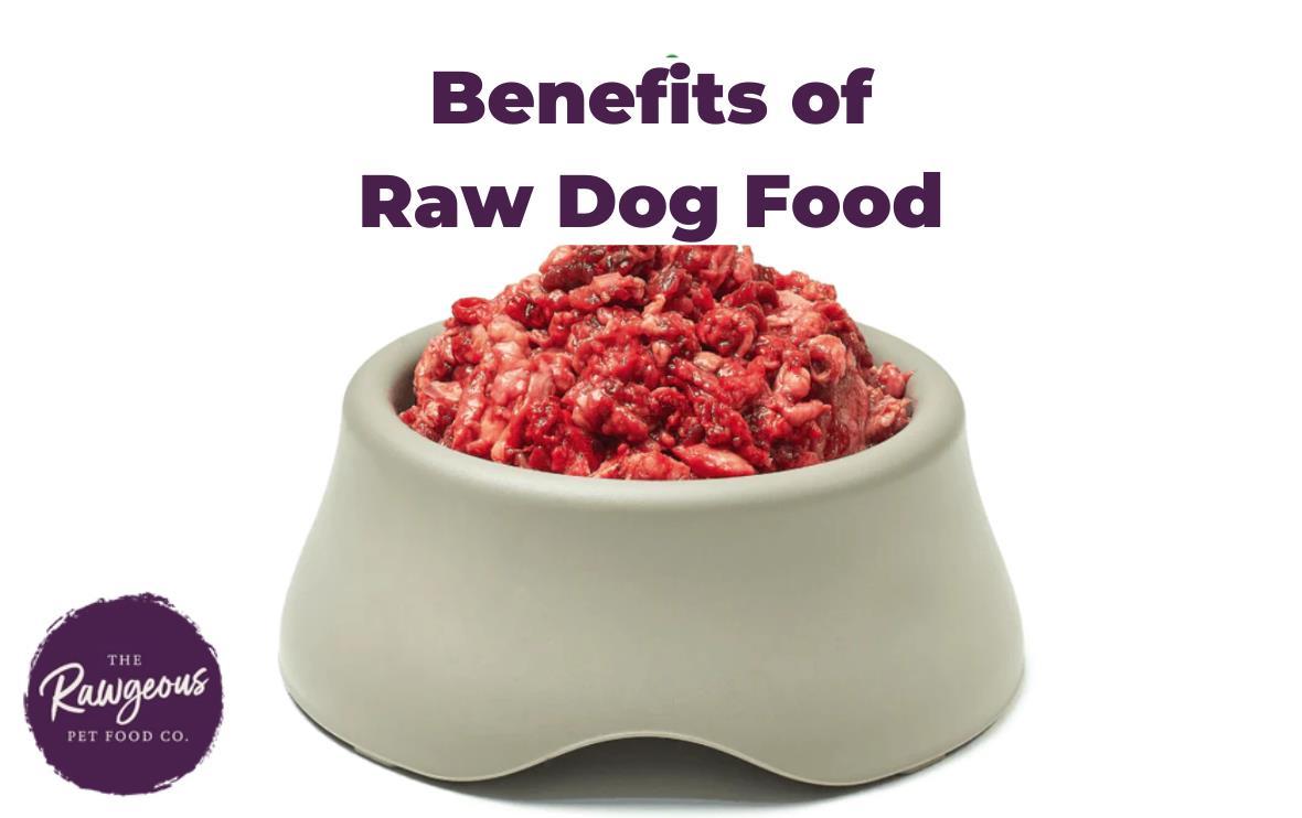 Benefits of Raw Dog Food by Raw geouspet Food Issuu
