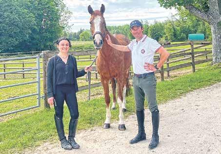 Fer à cheval en acier pour l'entraînement équestre, fer à cheval de  l'hypothèse de