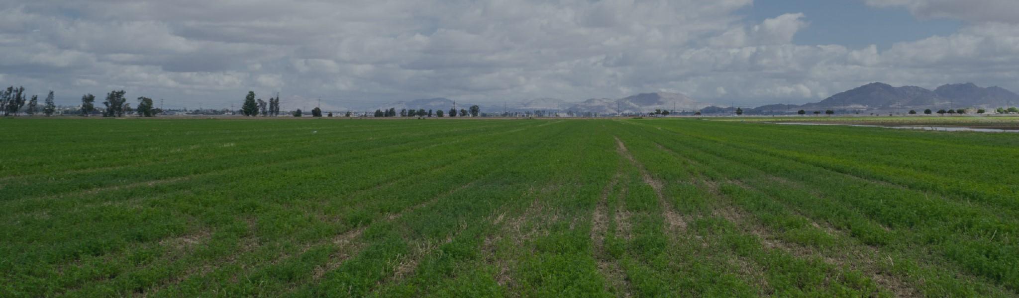 Riverside County Real Estate Market Report May 2023 by First Team