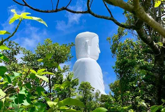 Cover for Chùa Long Sơn