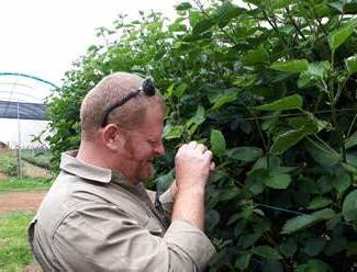 Wanted — Raspberry & Blackberry growers!