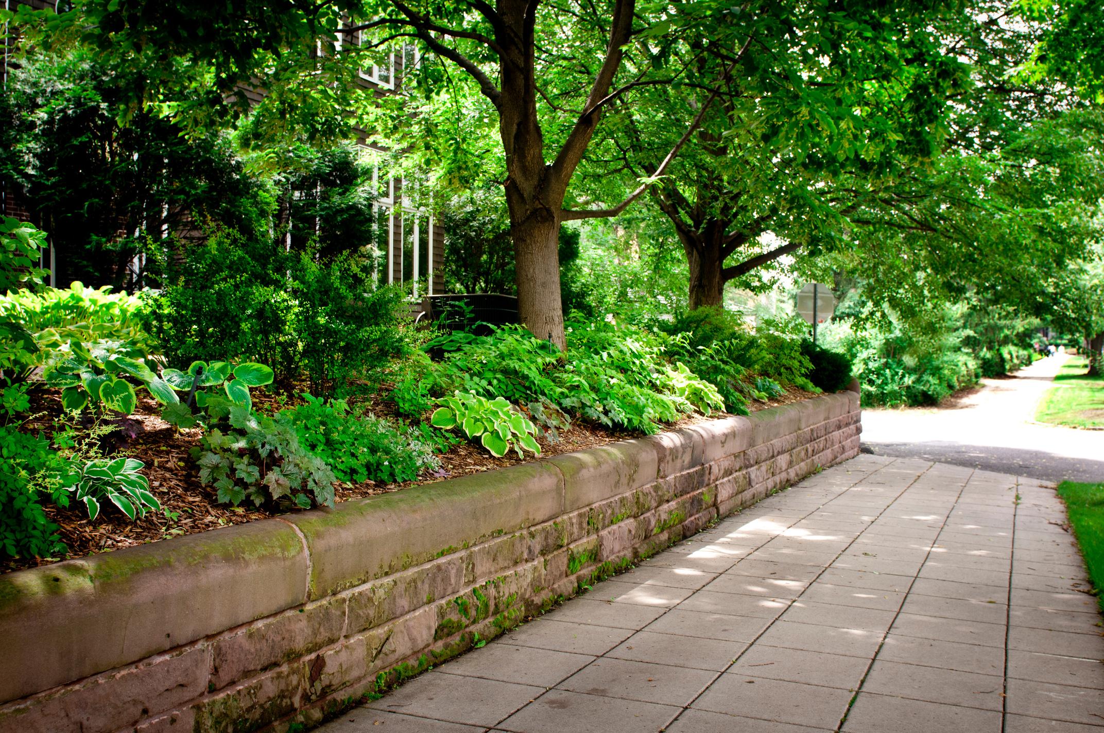 What are Some Effective Ways to Look after Trees in Urban Landscape by Alberta Arborists Issuu