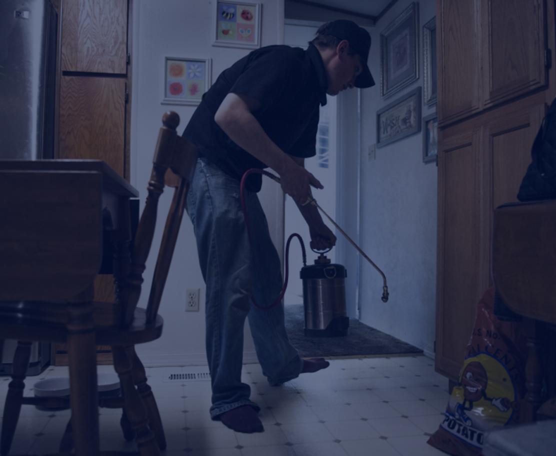 home pest control buffalo by buffaloexterminators01 Issuu