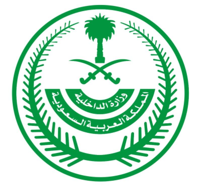 HCIS Approved Consultants in KSA by dspconsultants Issuu