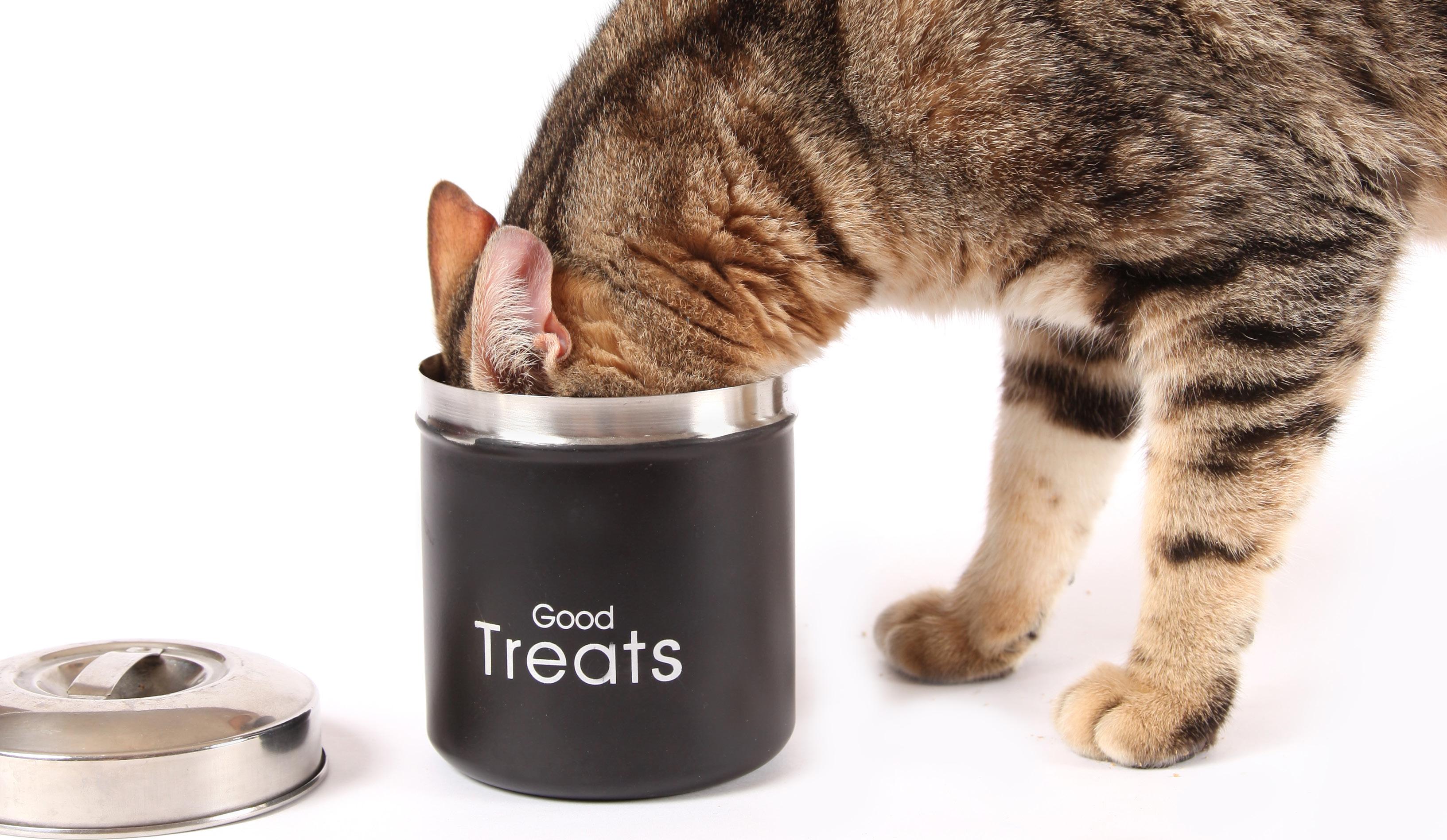 PET PRODUCT CATALOGUE • 20232024 by UNFI Canada Issuu