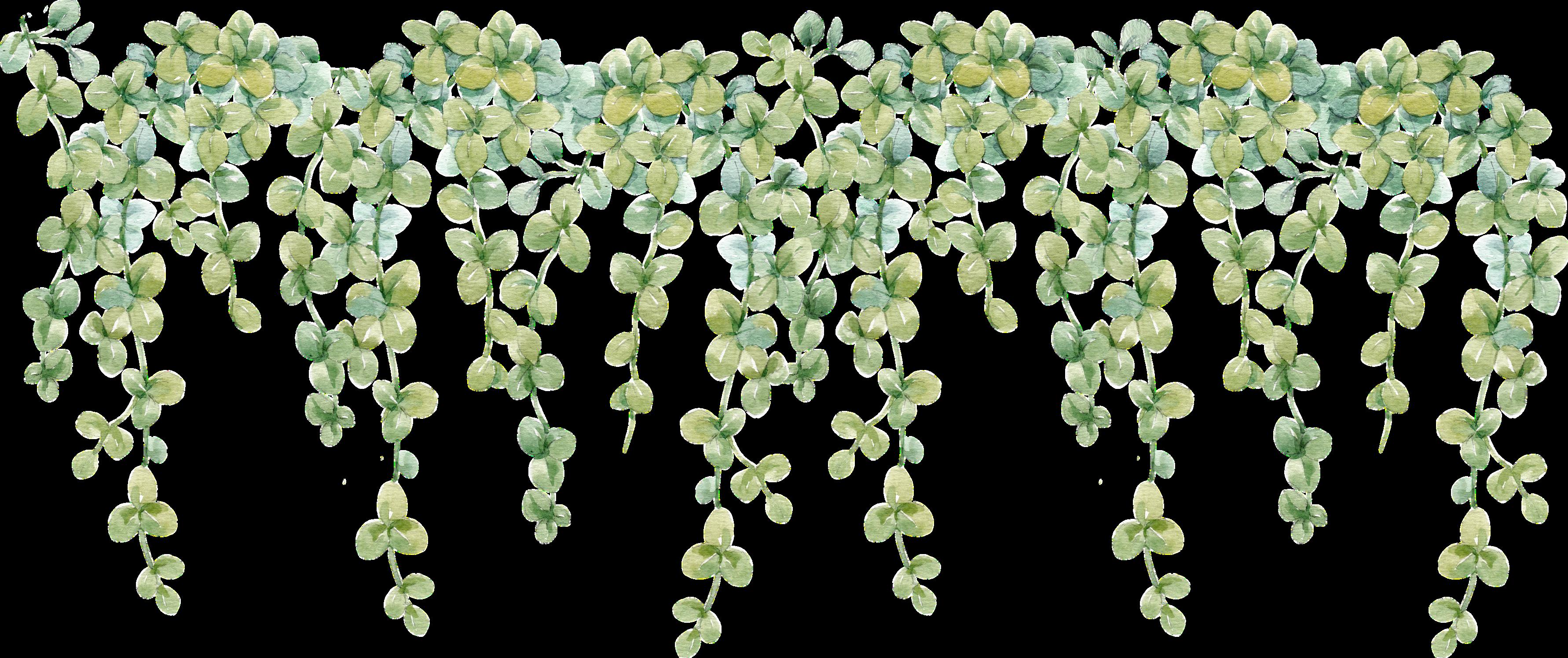 Candy Grapes A Sweet And Irresistible Delight by Millionaire Business