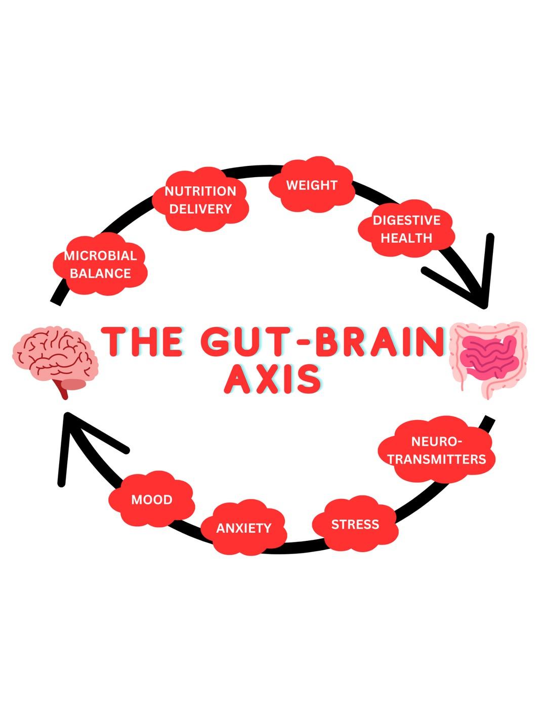 Gut Health By HealthyUnwind Issuu 5-gut-health-tests-you-can-do-at-home-gut-health-health-tests-health