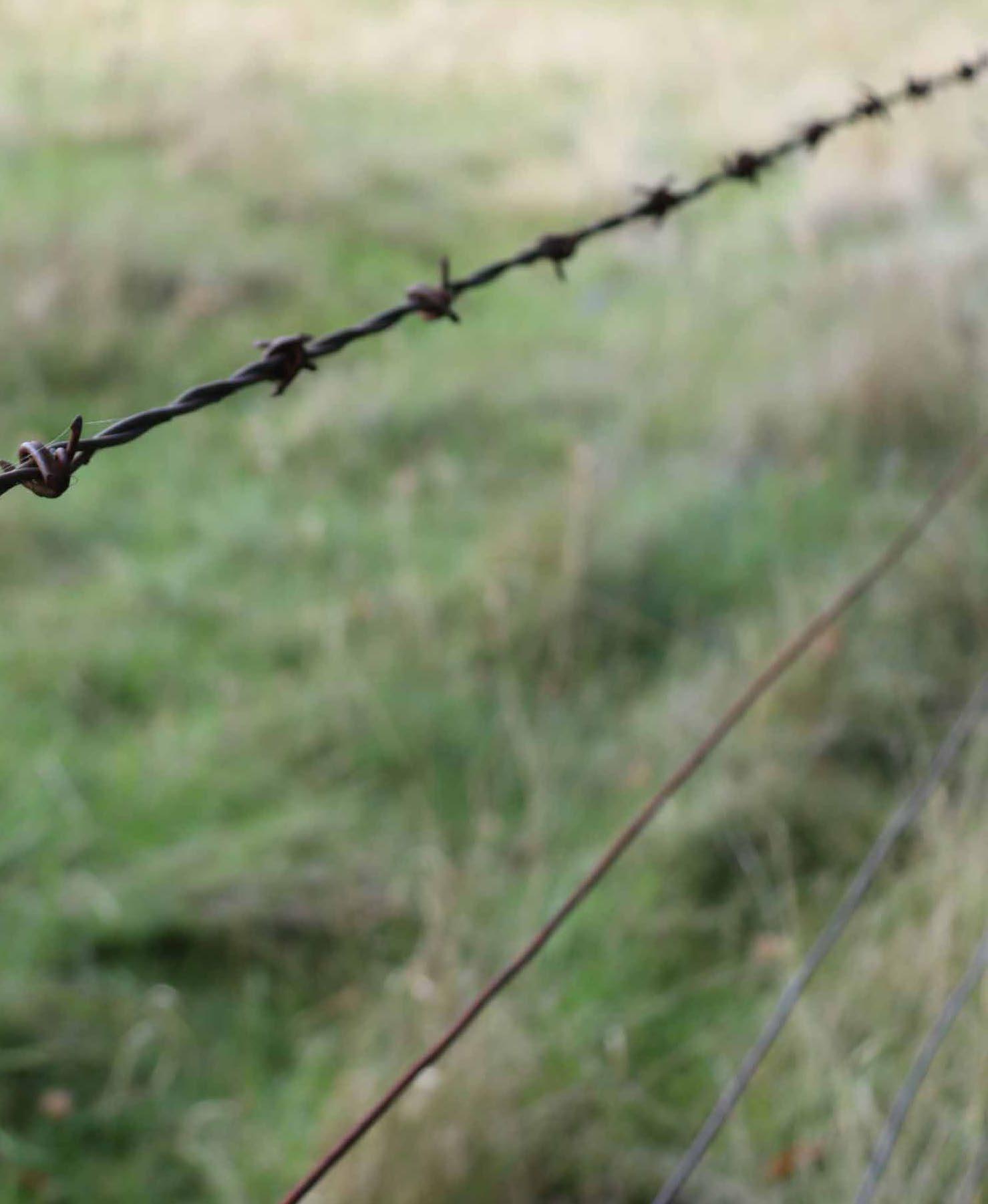 Fragile Land by 104264978 Issuu