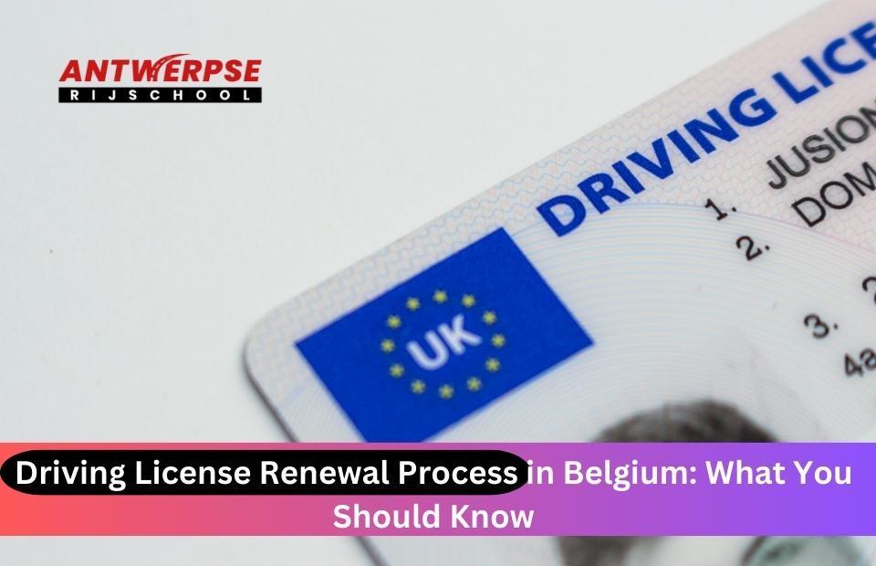 Driving License Renewal Process in Belgium What You Should Know by