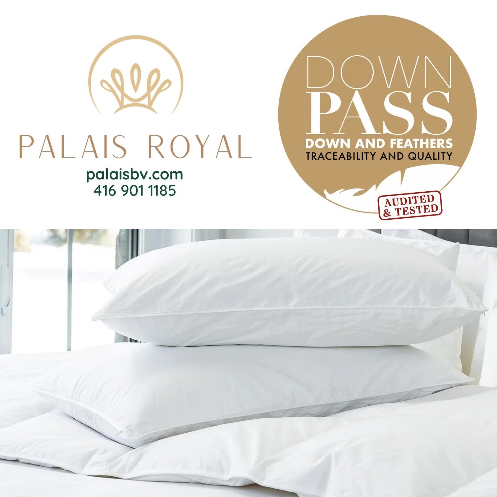Looking For The Premium Down Pillows Get It On Palais BV By Palaisbv looking-for-the-premium-down-pillows-get-it-on-palais-bv-by-palaisbv