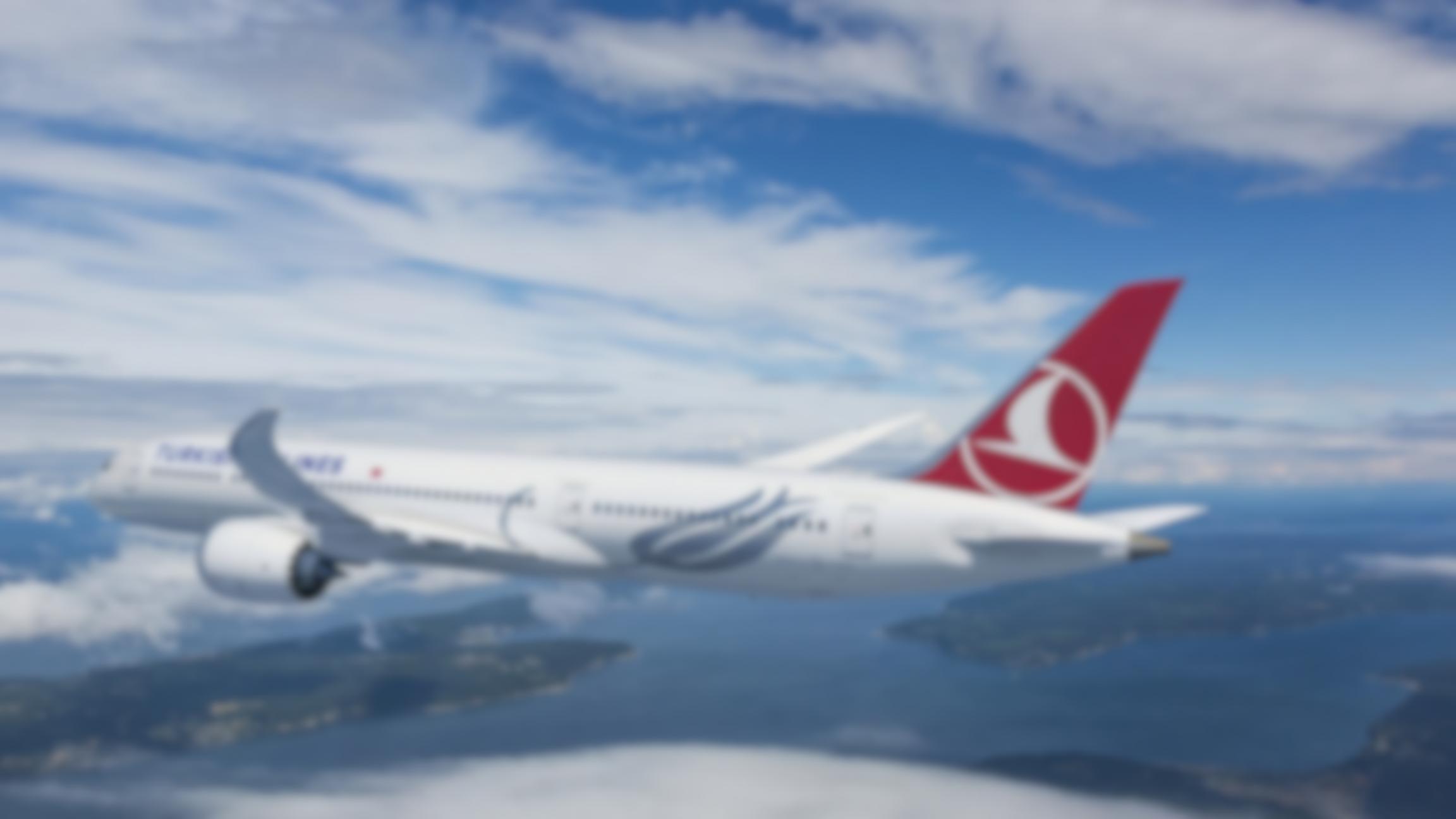 How to manage Turkish Airlines flight easily? by Airlines Pet policy