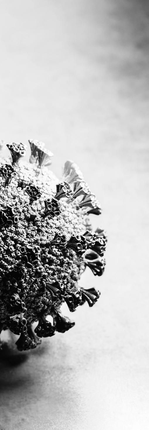 Cover for COVID-19 Eigindleg rannsókn