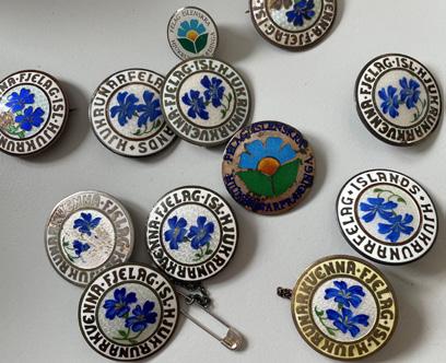 Cover for Það styttist í næstu kjaraviðræður