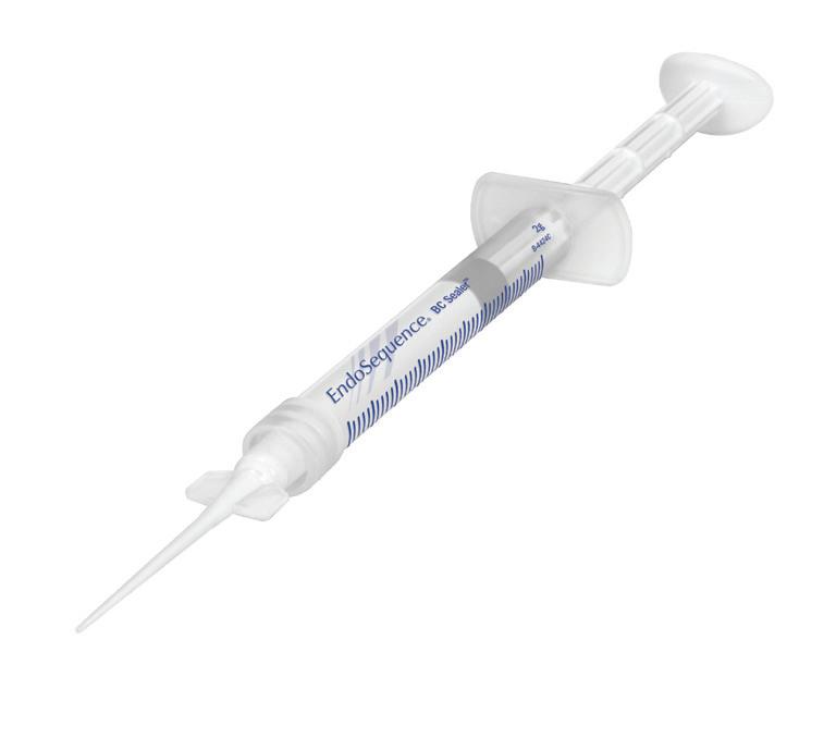 Brasseler USA Endodontic Guide by Brasseler USA Issuu