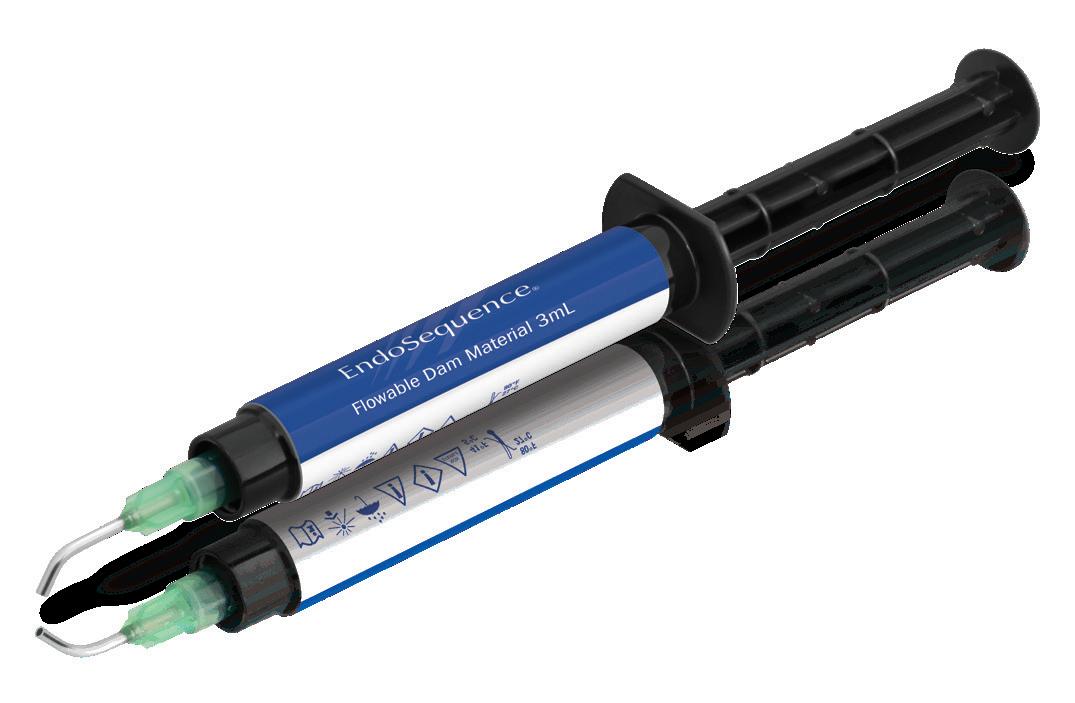 Brasseler USA Endodontic Guide by Brasseler USA Issuu