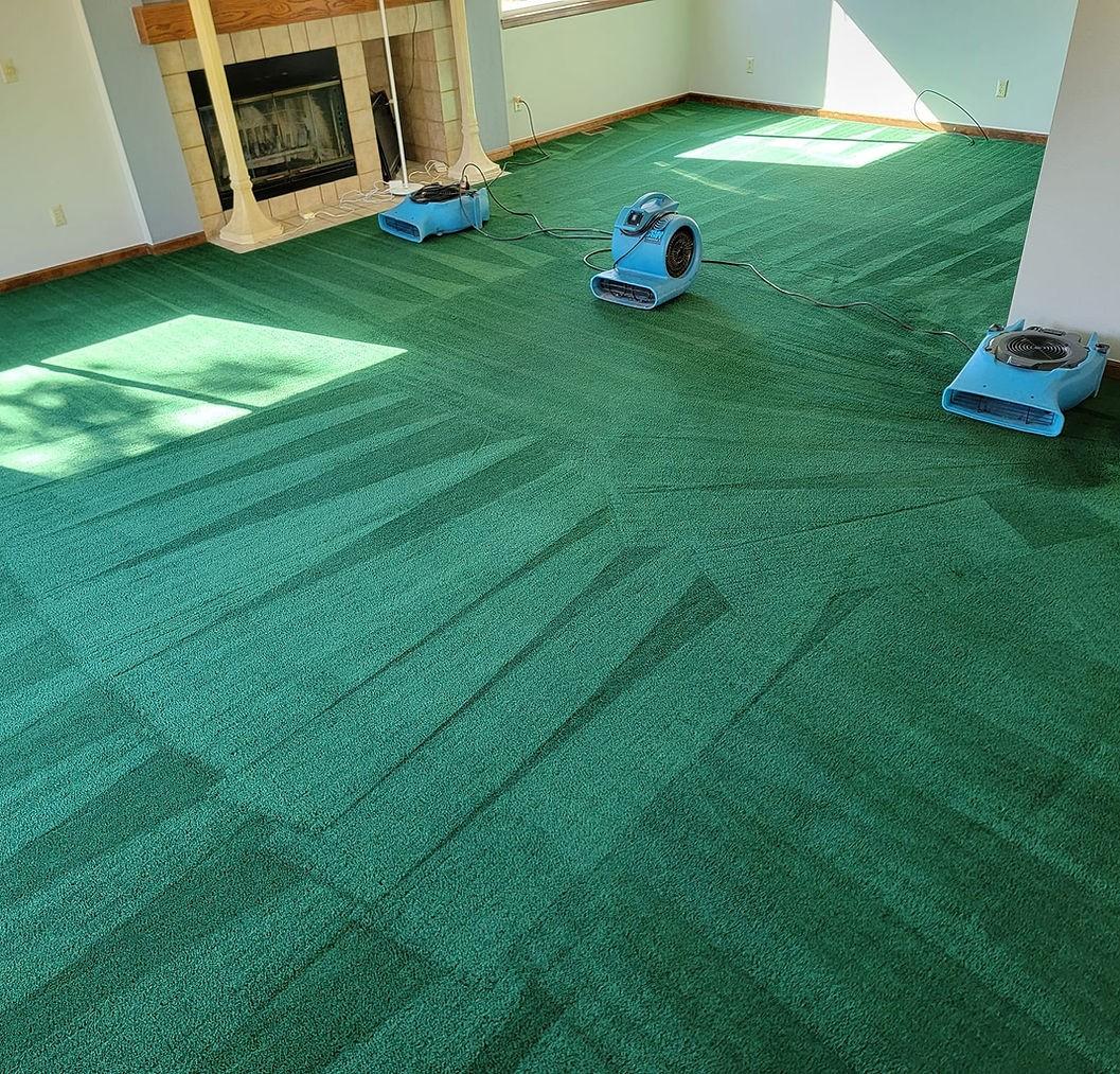 Carpet Cleaning Parker by Magicsteamco Issuu