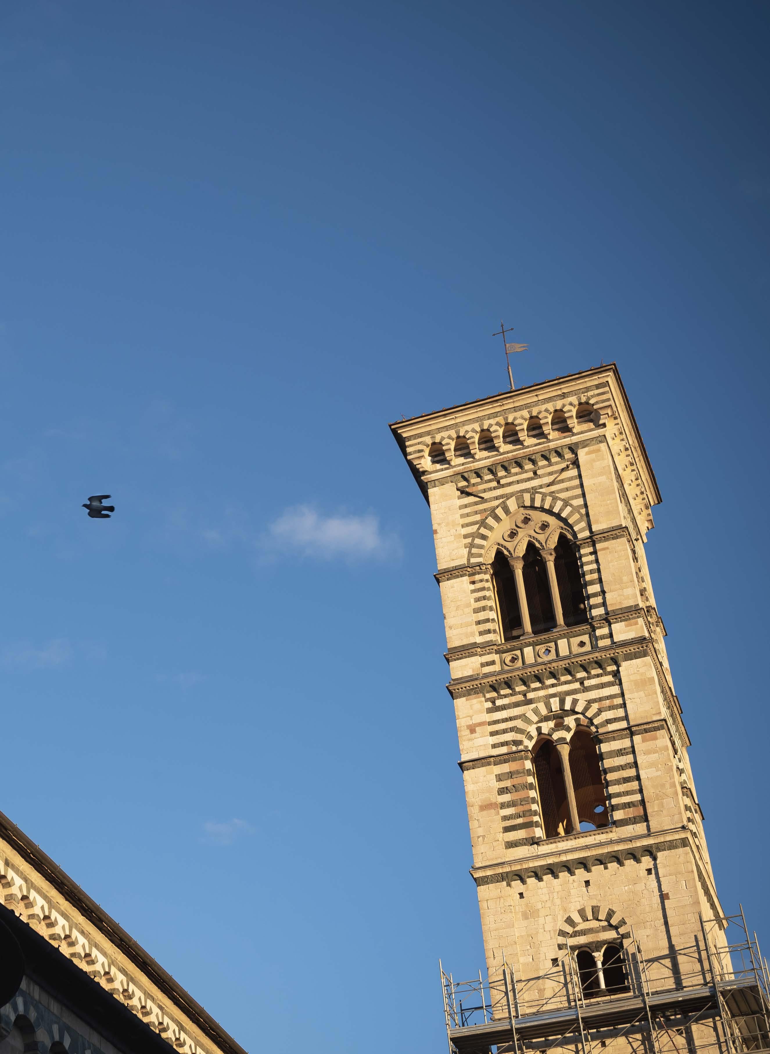 Cover for Prato is looking for confirmation