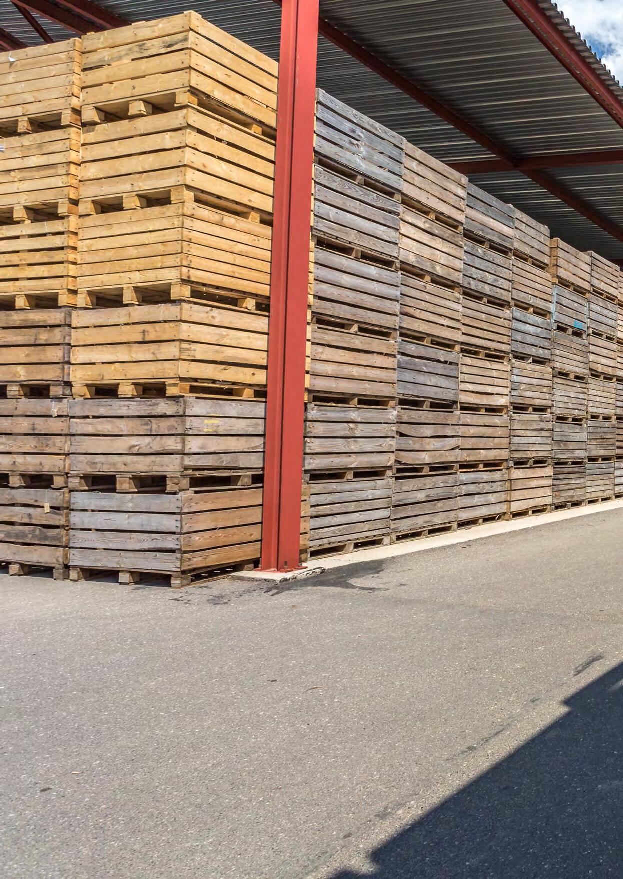 Cover for ¿Un almacenaje sustentable?