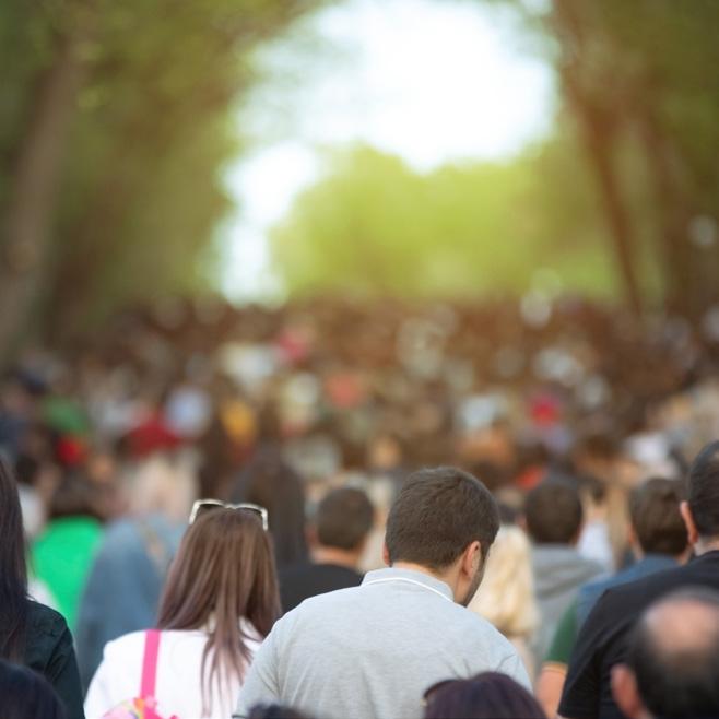 Cover for Focus on Frankston