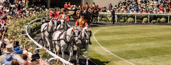 royal ascot racing tours 2023