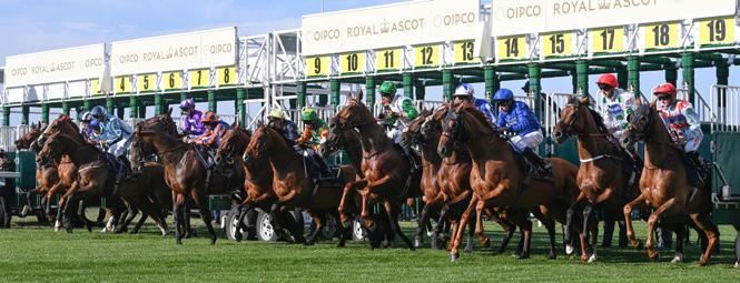 royal ascot racing tours 2023