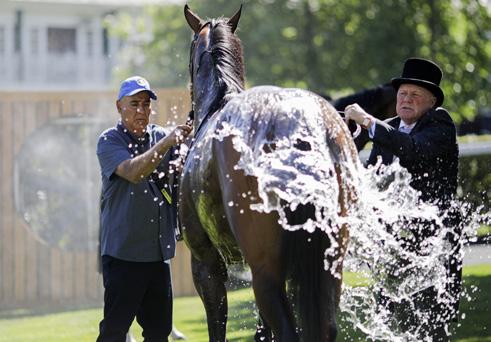 royal ascot racing tours 2023