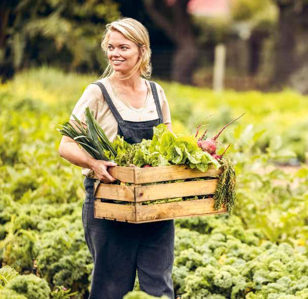 Cover for Encourager la production agricole locale