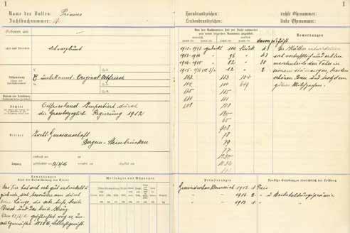 Cover for 100 Jahre nationale Herdbuchführung in Luxemburg