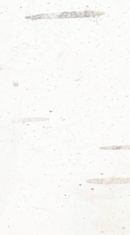 Cover for Find your summer story.