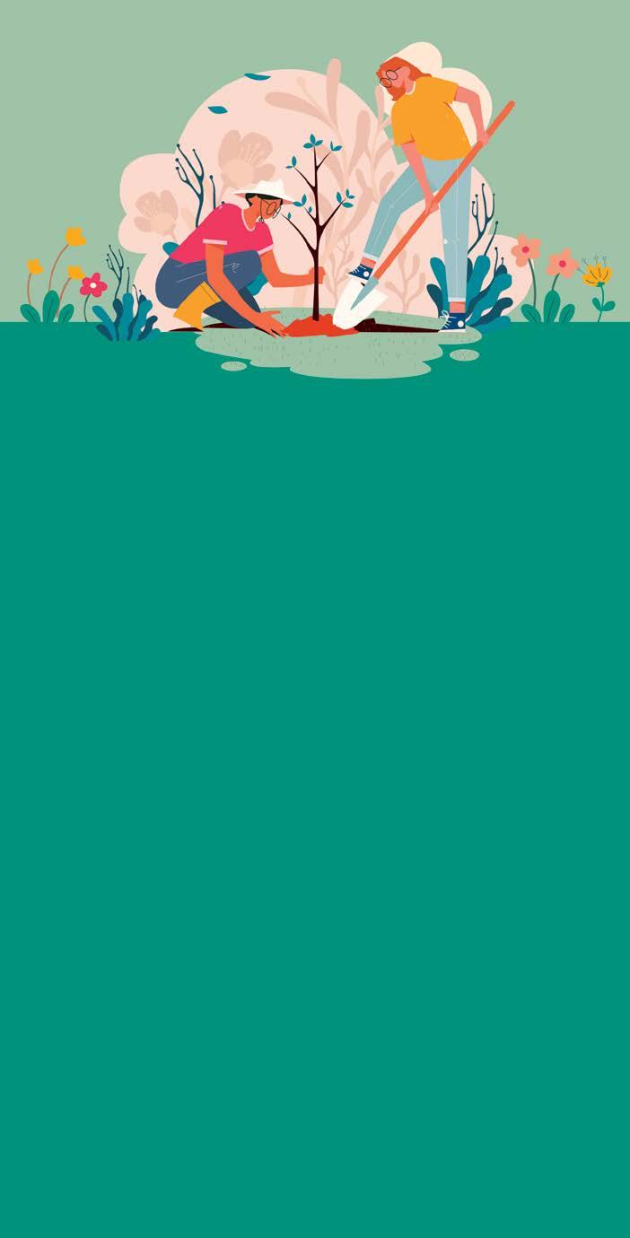 Cover for Don’t moss around, register to Council’s Verge Garden Program