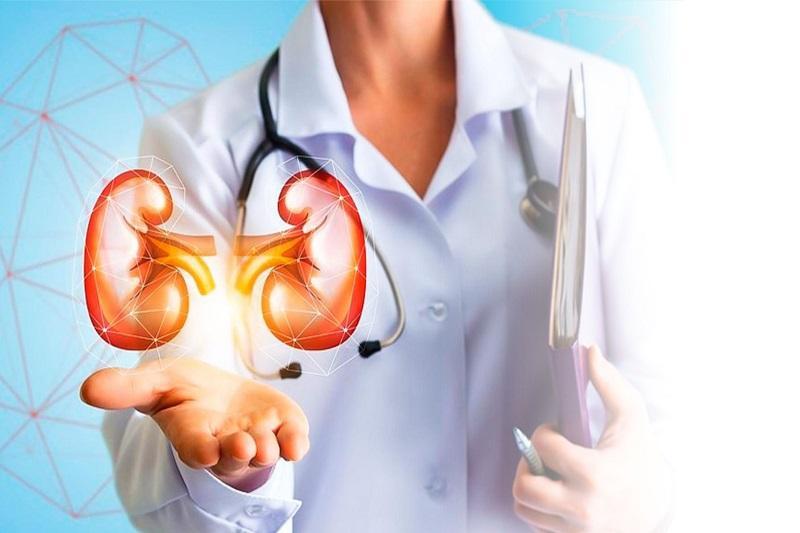 Ethical Considerations In Kidney Transplantation Balancing Patient