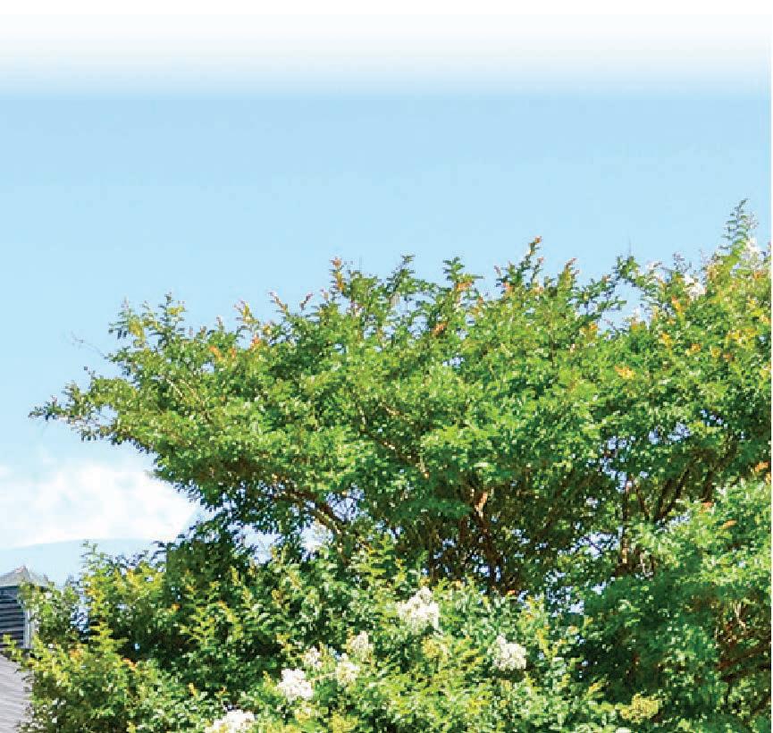 Best of NAC by Fox Press Issuu