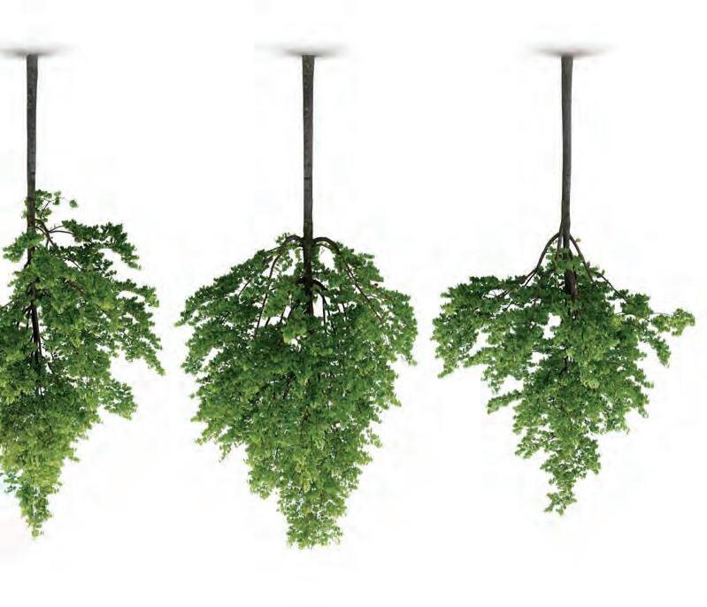 Ocura Healthcare Furniture 2023 Catalogue by Ocura Issuu