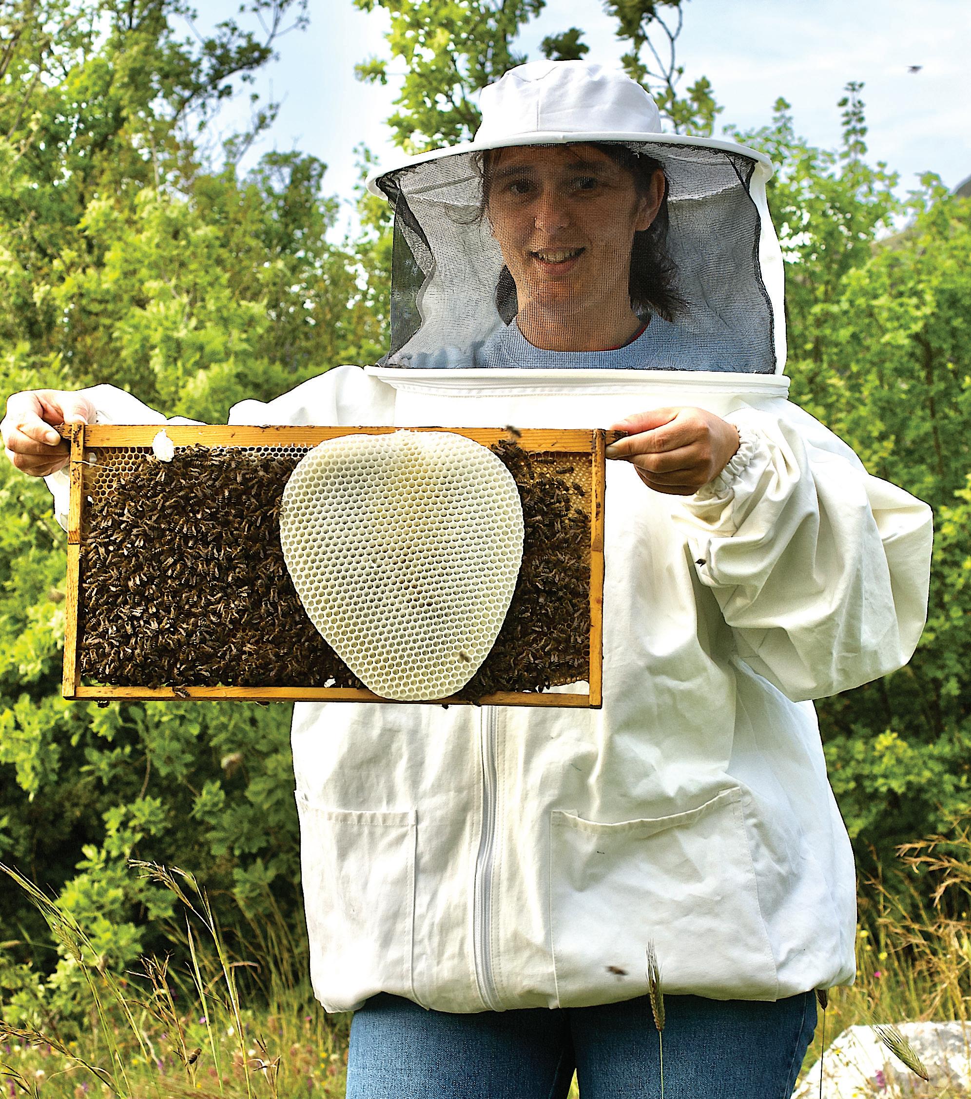 It's March: The Beekeepers' Busy Season